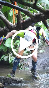 BIB:  <button type="button" onclick="openModal(27824549)" class="btn btn-primary btn-sm float-right" data-toggle="modal" data-target=".modal-high-quality">
                <i class="fa fa-download"></i> Download
                </button>